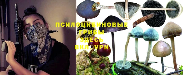 амф Алексин