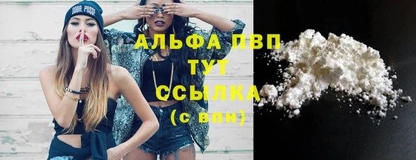 амф Алексин